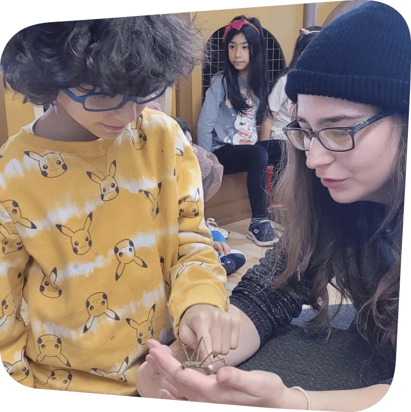 camper gently touching stick bug held by camp counselor