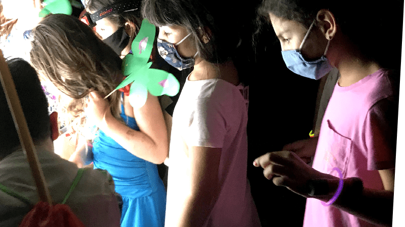 children studying moths at night